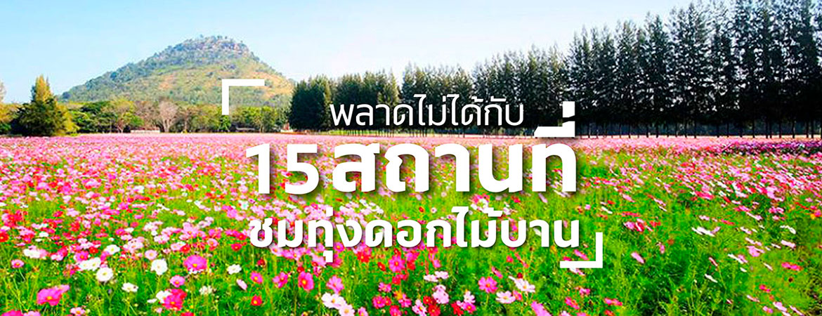 พลาดไม่ได้กับ 15 สถานที่ชมทุ่งดอกไม้บาน