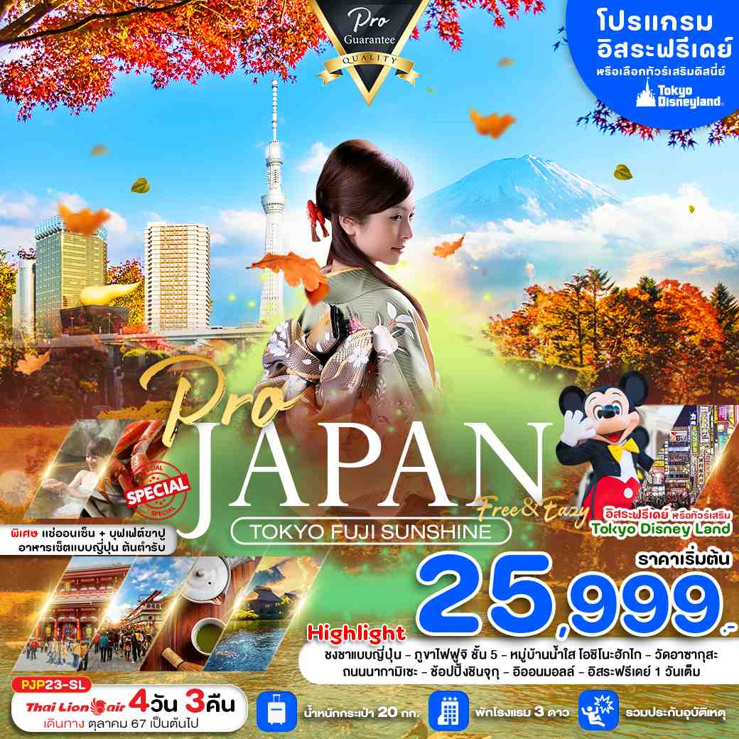 ทัวร์ญี่ปุ่น TOKYO FUJI SUNSHINE 4วัน 3คืน (SL)