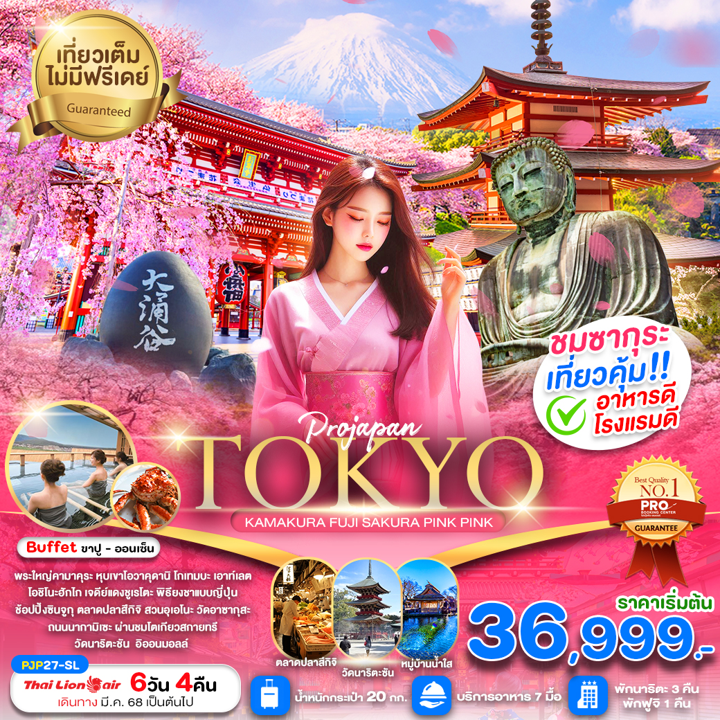 ทัวร์ญี่ปุ่น TOKYO KAMAKURA FUJI SAKURA PINK PINK 6วัน 4คืน (SL)